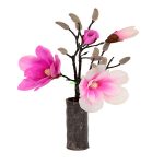 مگنولیا کوتاه لمسی