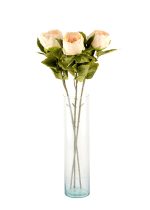 شاخه تک گل صدتومنی