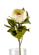 شاخه تک گل صدتومنی