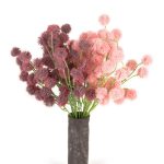 بوته قاصدک گردی