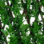 آکاردئون یا پنجره برگدار