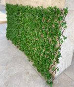 آکاردئون یا پنجره برگدار