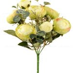 بوته فندقی درشت سبز