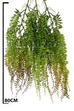 سرخس آویز