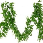 ریسه برگ شمشاد