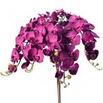 شاخه ارکیده 10 گل بنفش