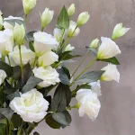 نحوه چیدمان شاخه گل لیسیانتوس در گلدان - گل مصنوعی 1001 تهران