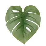 برگ Monstera مصنوعی با طراحی واقع‌گرایانه و رنگ سبز جذاب - فروشگاه گل مصنوعی آنلاین تهران - گل1001